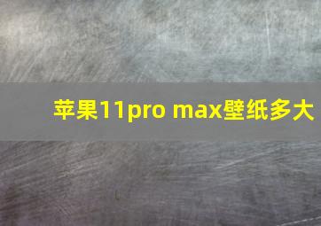 苹果11pro max壁纸多大